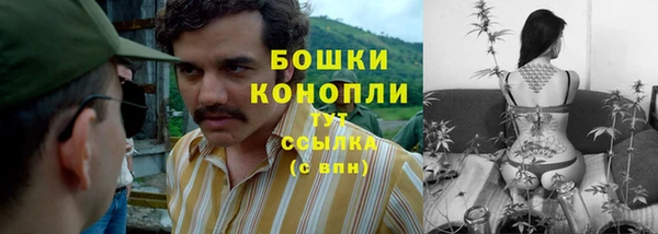 PSILOCYBIN Беломорск