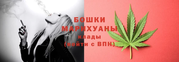 PSILOCYBIN Беломорск