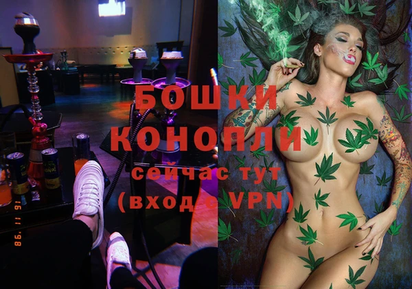 PSILOCYBIN Беломорск