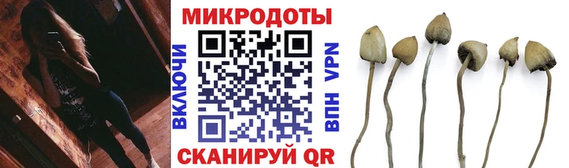 МЕГА онион  Нахабино  Псилоцибиновые грибы Psilocybe  сколько стоит 